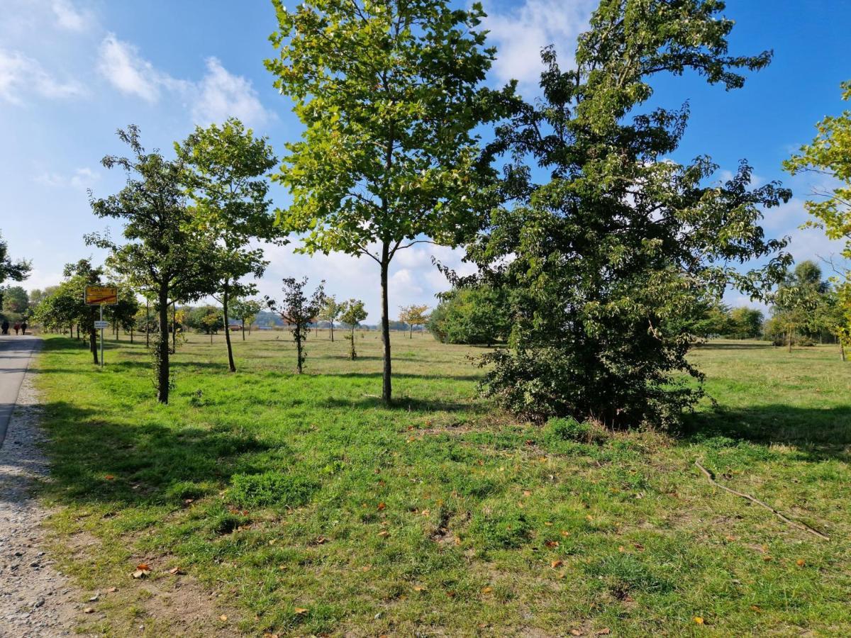 Heringsdorf - Moewe Exteriör bild